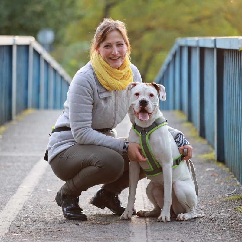 Dogsharing Hannover Yuki Hund ausleihen HUNDELIEB